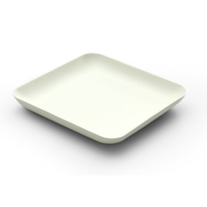 Compostables plates in sugar cane
