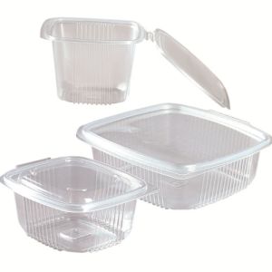 PP containers with hinged lid - Ondipack