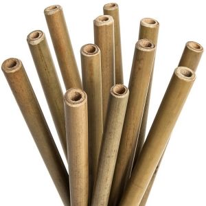 Bio bamboo drinking straws