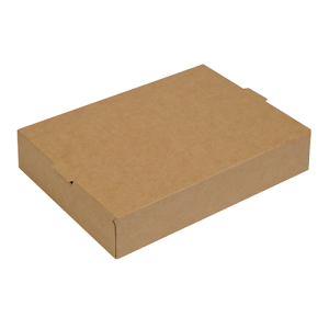Brown cardboard meal boxes