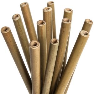 Bio bamboo drinking straws for cocktails - M